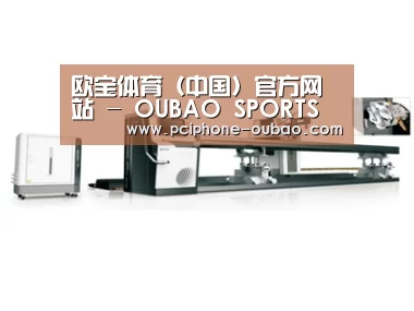 视频展示一