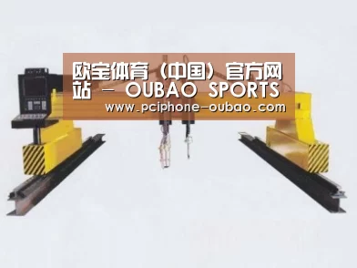产品名称十七