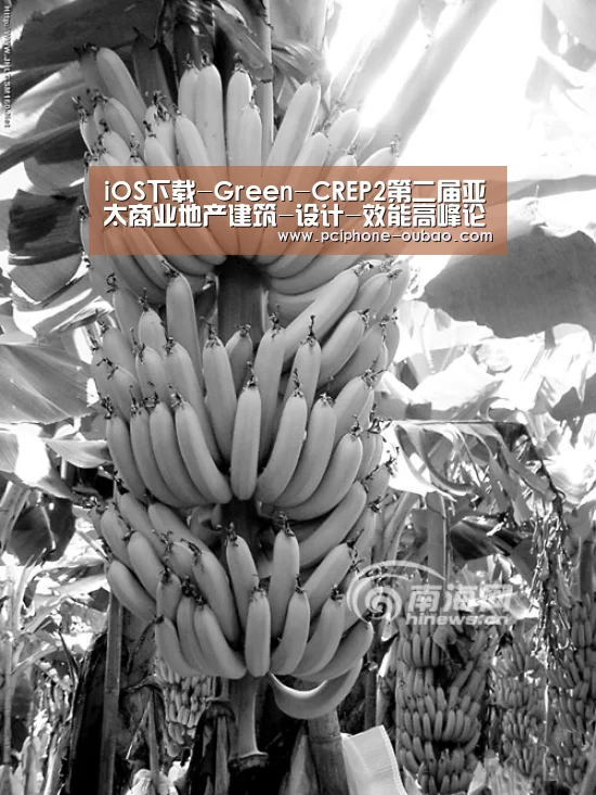 iOS下载-Green-CREP2第二届亚太商业地产建筑-设计-效能高峰论坛圆满成功(图4) APP下载